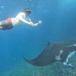 Nusa Penida: 3-Spot Snorkeling Experience & West Island Tour - What to Expect from the Snorkeling