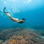 Nusa Penida Day Trip with Snorkeling Package - What We Loved About This Experience