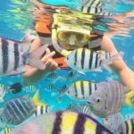 Nusa Penida: East Coast Snorkeling Tour with GoPro - Who Will Love This Tour?