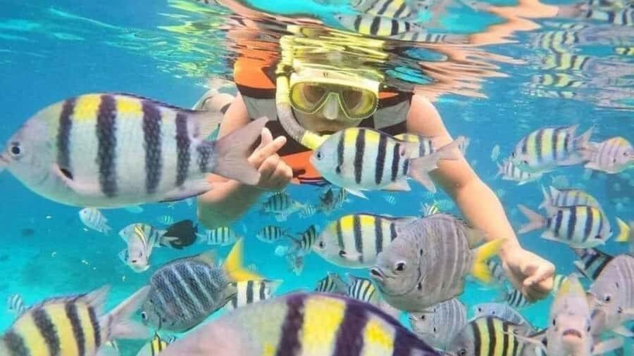 Nusa Penida: East Coast Snorkeling Tour with GoPro - Who Will Love This Tour?