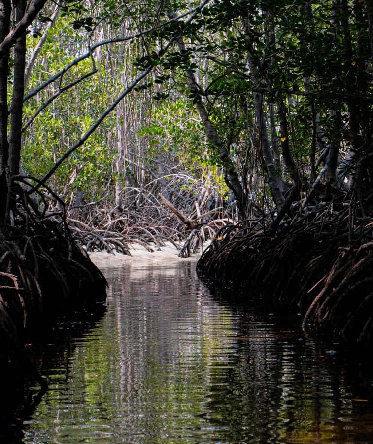 Nusa Penida: Ecotourism, 7-Days of Conservation & Culture - Who Will Love This Tour?