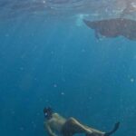 Nusa Penida: Manta Point Snorkeling with Lunch and Pick Up - Practical Insights & Tips