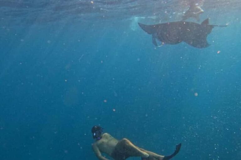 Nusa Penida: Manta Point Snorkeling with Lunch and Pick Up - Practical Insights & Tips