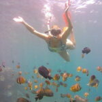 Nusa Penida Private Snorkeling Tour with West Island Trip - The Sum Up