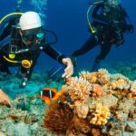 Nusa Penida: Snorkeling and Diving Adventure - What Makes This Tour Stand Out