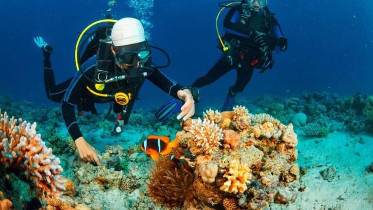 Nusa Penida: Snorkeling and Diving Adventure - What Makes This Tour Stand Out