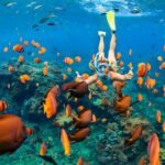Nusa Penida Snorkeling Tour - Departure From Bali - What Do We Think About the Value?