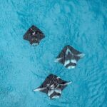 Nusa Penida West Full day Trip with Snorkeling - Practical Aspects and Considerations