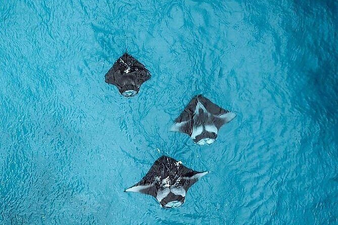 Nusa Penida West Full day Trip with Snorkeling - Practical Aspects and Considerations