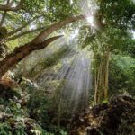 Nusa Penida: West Tour & Hidden Tembeling Pool - Practical Details and What to Expect