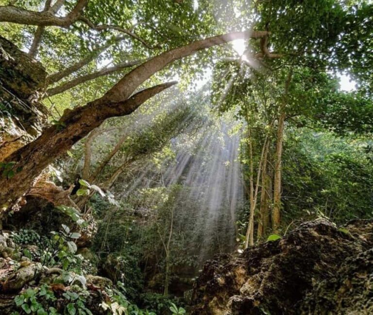 Nusa Penida: West Tour & Hidden Tembeling Pool - Practical Details and What to Expect