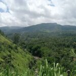 Nuwara Eliya: 8Hrs Tuk Tuk Tour to Waterfalls & Tea Tasting - Final Thoughts