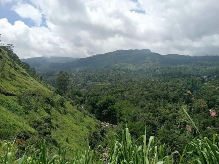 Nuwara Eliya: 8Hrs Tuk Tuk Tour to Waterfalls & Tea Tasting - Final Thoughts