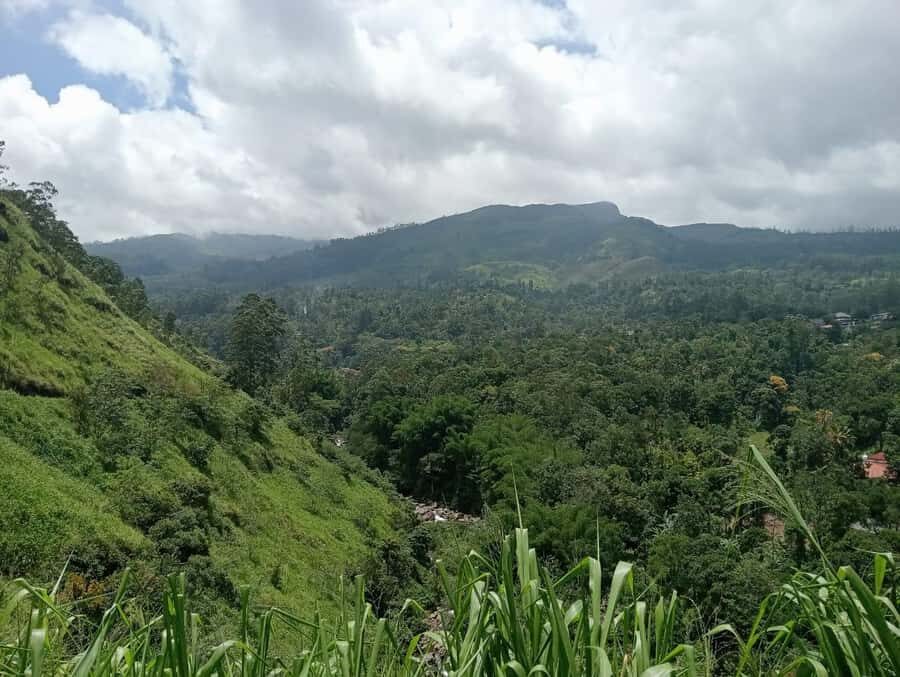 Nuwara Eliya: 8Hrs Tuk Tuk Tour to Waterfalls & Tea Tasting - Final Thoughts