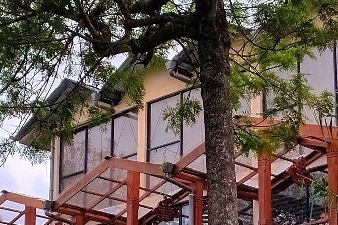 Nuwara Eliya City Tours Tuktuk - What’s Included and What’s Not