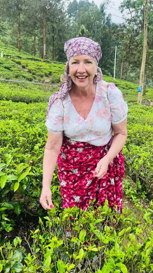 Nuwara Eliya: City Tuk-Tuk Tour and Tea factory visit - Exploring the Itinerary