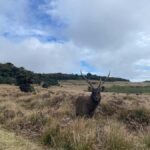 Nuwara Eliya: Horton Plains Guided Hike with Lunch - Detailed Breakdown of the Itinerary