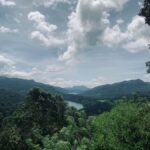 Nuwara Eliya: Premium Tea & Waterfall Tour - Private SUV - Why This Tour Offers Great Value