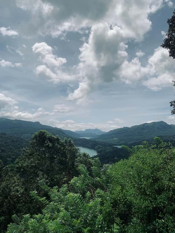 Nuwara Eliya: Premium Tea & Waterfall Tour - Private SUV - Why This Tour Offers Great Value