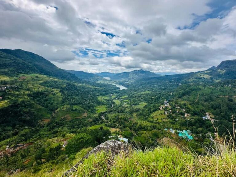 Nuwara Eliya: Tea Plantation Jeep Safari & Tea Making - Who This Tour Is Perfect For