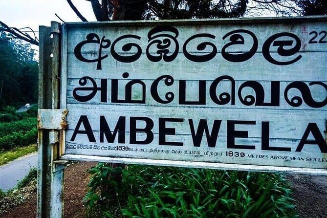 Nuwaraeliya (Nanuoya) - Ella Train Tickets (Starts from Ambewela) - The Sum Up