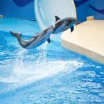 Ocean Park Full-Day Coach Tour with Hotel Pickup in Kowloon Area from Hong Kong - Potential Drawbacks to Consider