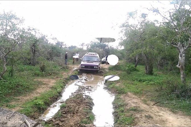 Off Road Adventure & Lakeside Lunch from Hambantota Harbor - An In-Depth Look at the Experience