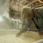Oita : Komatsu Shuzojo Sake Brewery Tour and Tasting - Practical Details