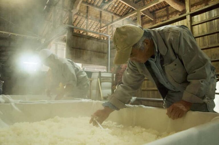 Oita : Komatsu Shuzojo Sake Brewery Tour and Tasting - Practical Details