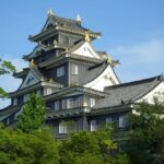 Okayama: Castle & Korakuen Garden Heritage Walk - Practical Details and Tips