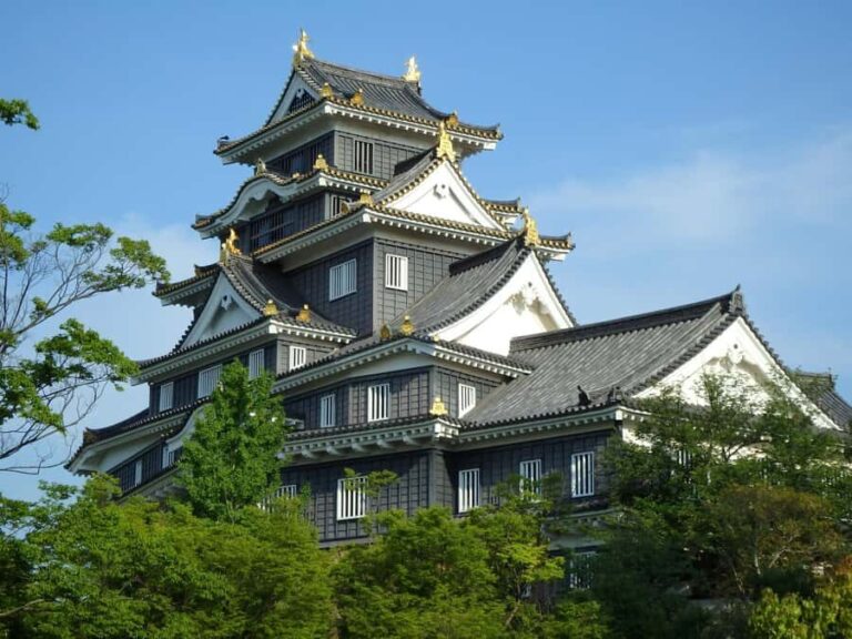 Okayama: Castle & Korakuen Garden Heritage Walk - Practical Details and Tips