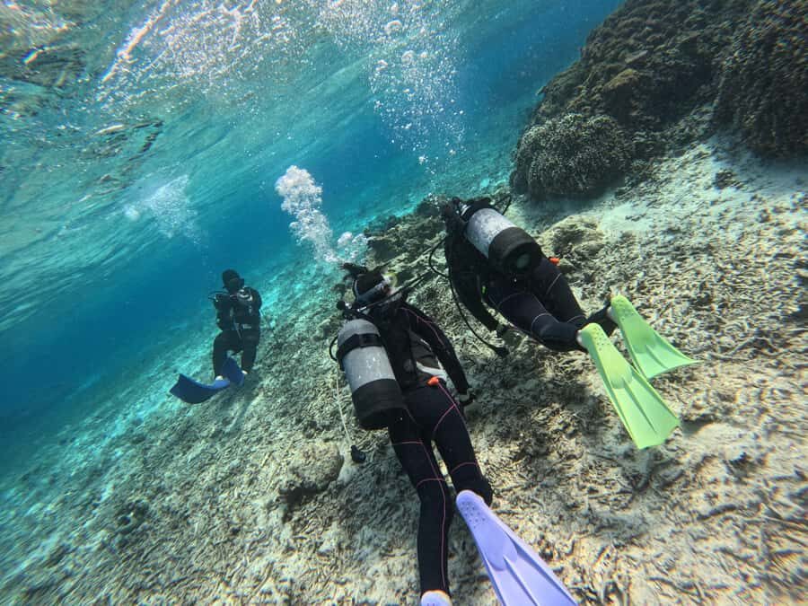 Okinawa Blue Cave Boat Diving in Onna Village| 8 Perks - What Makes This Tour Stand Out?