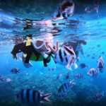 Okinawa: Blue Cave Boat Snorkeling with Free Gopro Photos - Detailed Breakdown of the Itinerary