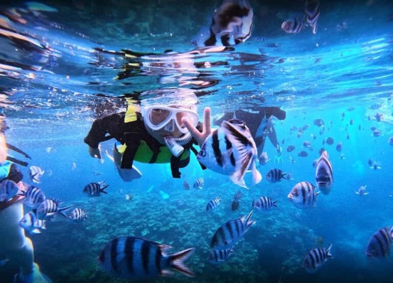 Okinawa: Blue Cave Boat Snorkeling with Free Gopro Photos - Detailed Breakdown of the Itinerary