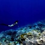 Okinawa: Blue Cave Freediving Tour with GoPro Photos - The Itinerary Breakdown