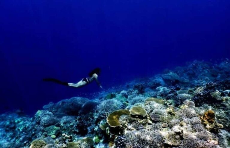 Okinawa: Blue Cave Freediving Tour with GoPro Photos - The Itinerary Breakdown