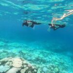 Okinawa: Boat Snorkeling at Minna, Sesoko or Motobu - Exploring the Okinawa Snorkeling Tour: A Deep Dive