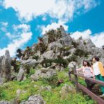 Okinawa: Bus Tour to Yanbaru National Park and Kouri Island - Exploring Yanbaru Forest and Off the Beaten Path Hikes