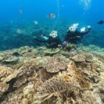 Okinawa: Discover SCUBA Diving at Minna, Sesoko or Motobu - Exploring the Okinawa Discover SCUBA Tour