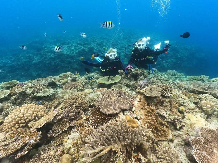 Okinawa: Discover SCUBA Diving at Minna, Sesoko or Motobu - Exploring the Okinawa Discover SCUBA Tour