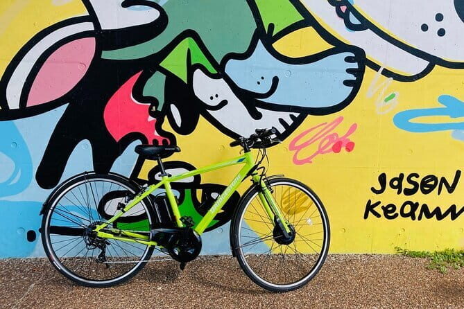 Okinawa E-bike Rental (Sporty Type) - What Makes This Rental Unique?