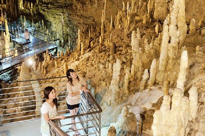 Okinawa Hip-hop Bus D Course Tour to Southern Island - Who Would Love This Tour?