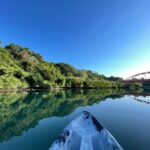 Okinawa: Mangrove Kayak Tour with Guide - Who This Tour Is Best For