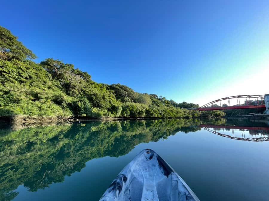 Okinawa: Mangrove Kayak Tour with Guide - Who This Tour Is Best For
