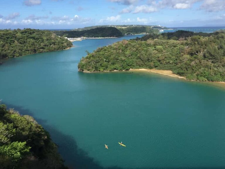 Okinawa: Private Full Circle Island Kayak Tour in English - Practical Details and What to Expect