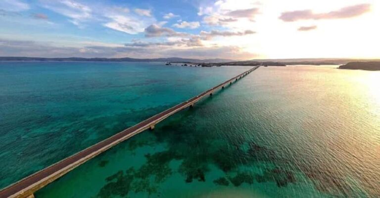 Okinawa: Private Kouri Island, Aquarium & Castle Guided Tour - Transportation and Group Dynamics