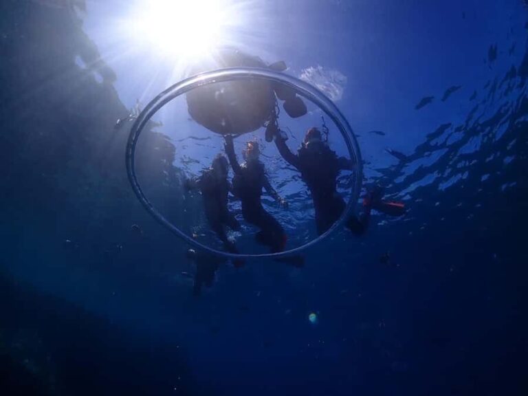 Okinawa: Private Snorkeling Tour - What Travelers Can Expect