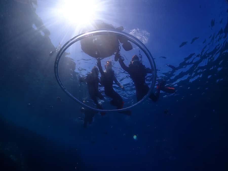 Okinawa: Private Snorkeling Tour - What Travelers Can Expect