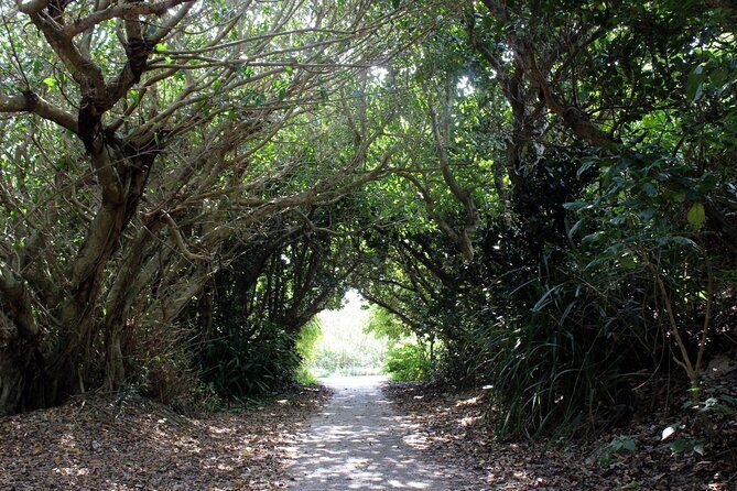 Okinawa: Sacred Island Tour to Kudakas Ryukyuan Holy Sites - Practical Details and Tips