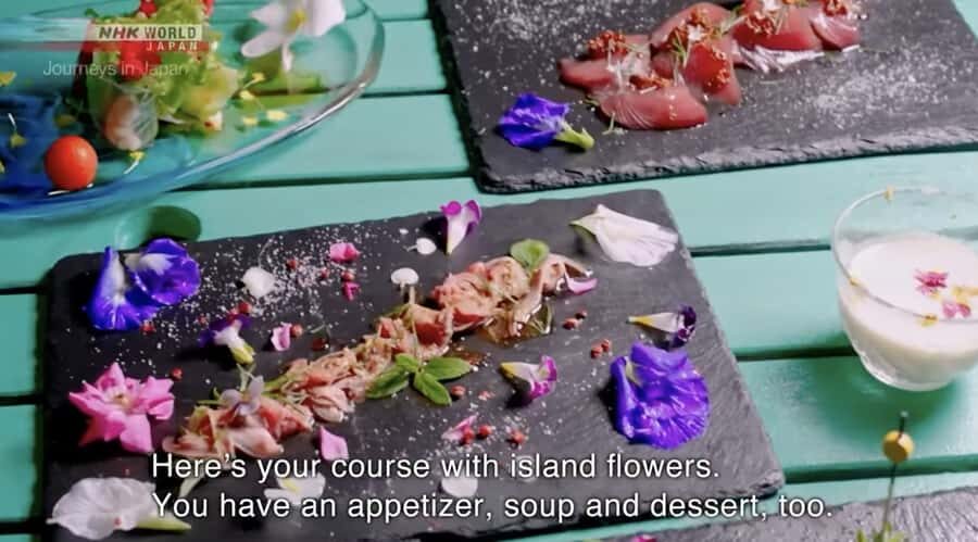 Okinawa: Sesoko Island Longevity Hot Pot Experience - Who Should Consider This Tour?